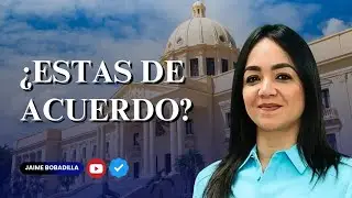 Faride Raful dice espacio aéreo dominicano está seguro