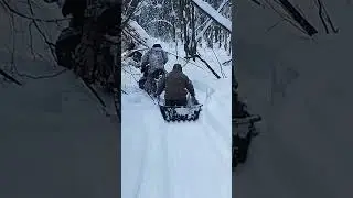 29 января 2024 г.