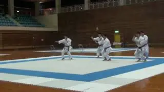18-й Всеокинавский Чемпионат по Каратэдо Рюэй-рю Показательные выступления