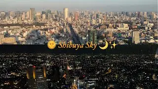 Shibuya Scramble Square | Shibuya Sky Day and Night | Japan Vlogs