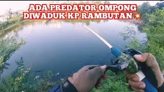 🔴GANYANGKA CASTING DI WADUK KP RAMBUTAN DAPAT IKAN TAK TERDUGA💥 #mancingmania #mancing #mancingliar