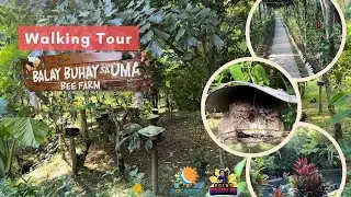 WALKING TOUR - BEE FARM (BALAY BUHAY SA UMA) BULUSAN, SORSOGON