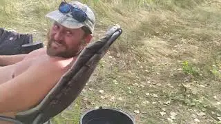 Десна