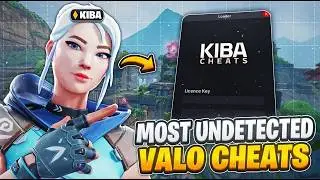 I Used The MOST Undetected Valorant Cheat - (Did I get Banned?)