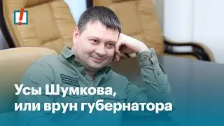 Усы Шумкова, или врун губернатора