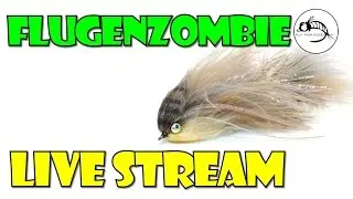 Flugenzombie Streamer Tutorial Live Stream