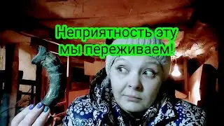 КОРОВА СЛОМАЛА РОГ! Как лечить сломанный рог.