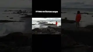 отлив на белом море