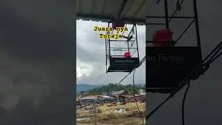KENARI NOMOR SATU DI TORAJA BIJANNA TORAYA #birds #burung #kicaumania