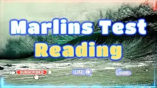 Marlins Test For Seafarer - Reading