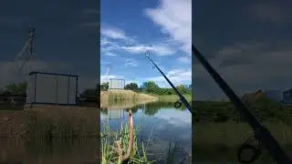 Красота! Но не клюёт