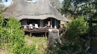 Honeymoon safari at Pondoro Game Lodge