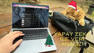 YAPAY ZEKA ILE VERI ANALIZI (YENI YIL HEDIYELI VIDEO)