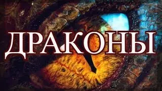 ДРАКОНЫ /// ВСЕ О ДРАКОНАХ! К просмотру обязательно!