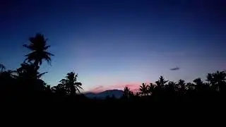 Uji coba tanaman bede