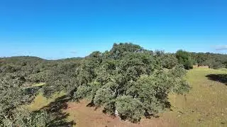 ZALAMEA LA REAL (CAMPO BONITO/BEAUTIFUL FIELD) - HUELVA