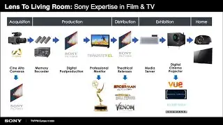Sony x HDTV Magazin: TV Workshop November 2020