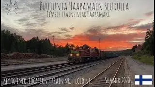 Timber trains around Haapamäki in summer 2020.