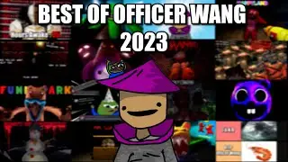 The Best Of Officer Wang 2023 Compilation!