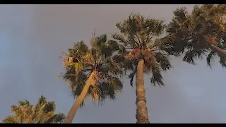 CAMPINGAUSRÜSTUNG UND DAILY VLOG