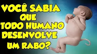 POR QUE NÃO NASCEMOS COM RABO?
