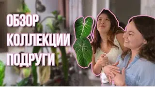 ОБЗОР КОЛЛЕКЦИИ РАСТЕНИЙ У АНИ