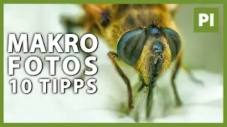 MAKROFOTOGRAFIE 📷 Das solltest du beachten 👉 Die 10 besten TIPPS für Anfänger