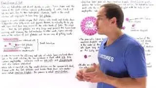Emulsification of Fats