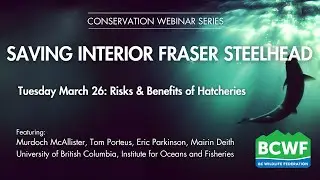 Saving Interior Fraser Steelhead 1: Risks & Benefits of Hatchery Propagation