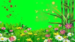 rashmika beautiful girl green screen 3D Girl Photo Moving Green Screen Status Trending Girl Green