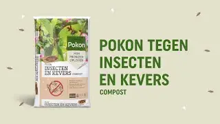Pokon Tegen Insecten En Kevers Compost