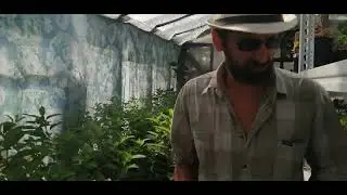 Рассылки, продажи продолжаются. Не обижайте "полярного мишку")))))