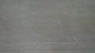 Sniper 3D Gun Shooter