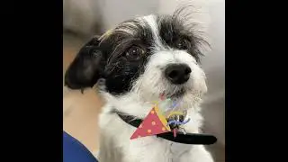 HAPPY BIRTHDAY, NANCY! (2022)