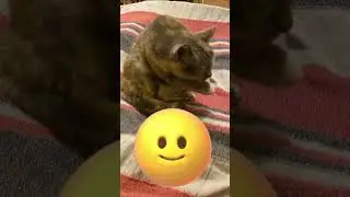 Не, ну ты подожди, поспешные выводы не делай.