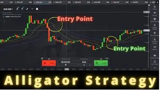 Alligator indicator  Binary options trading strategy | 99% WIN |  Price Action