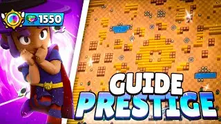 SHELLY PRESTIGE GUIDE 