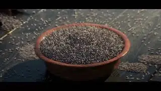Malka Foods | CGI Commercial | Masala Brand | AD