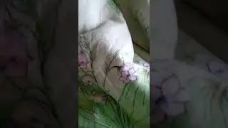 Го взаимку💖💖💖💖💖