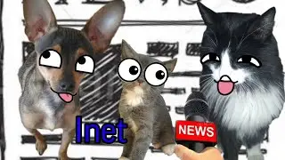 Inet News. Выпуск #2