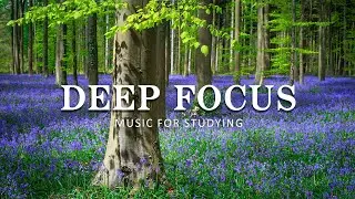 Deep Focus Music To Improve Concentration - 12 Hours of Ambient Study Music to Concentrate #34
