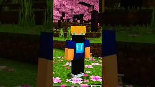 ты можешь сказать нет все го два раза #minecraft