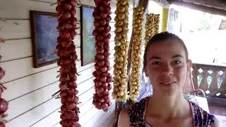 Природное земледелие. Как связать лук в батман для удобного хранения