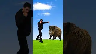🤔 HOW TO SURVIVE A BOAR ATTACK 🐗