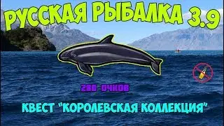 Русская рыбалка 3.9. Касатка малая.    