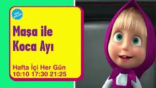 MAŞA İLE KOCA AYI | HAFTA İÇİ HER GÜN 10.10 | Cartoonito Türkiye