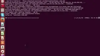 How to install Team Viewer Ubuntu 14.04 LTS 32 Bit