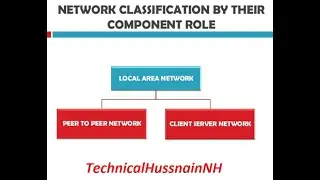 Network Classification By Their component Role