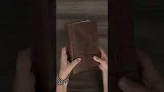Chronological Life Application Study Bible
