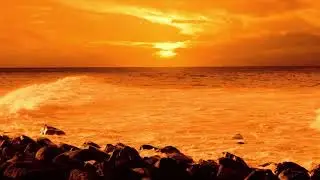 Relaxing Campfire by a Ocean at Sunset 2022//Ocean at Sunset 2022//Ocean Campfire 2022//